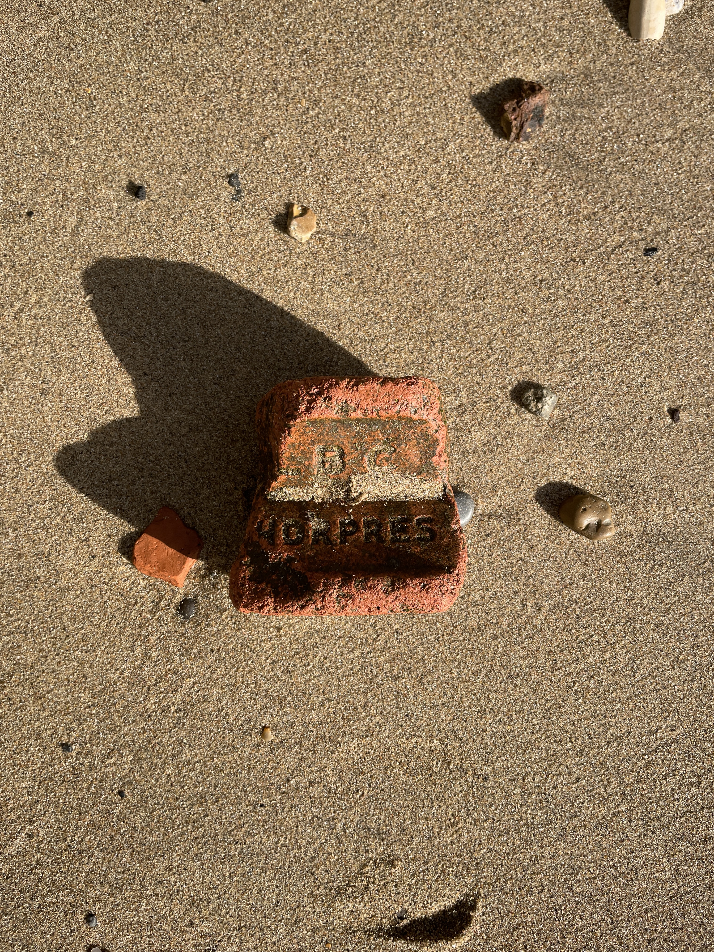MUDLARK